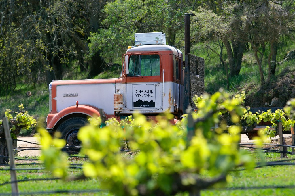 Chalone Truck 1