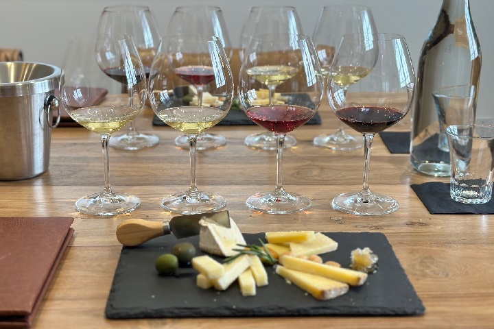 Wine and Cheese pairing 720x480