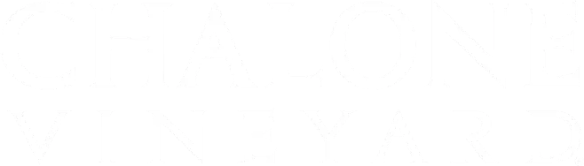 logo white